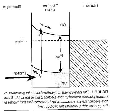 光电流是由光激发氧化膜中的电子而产生的 presence of a Schottky barrier.